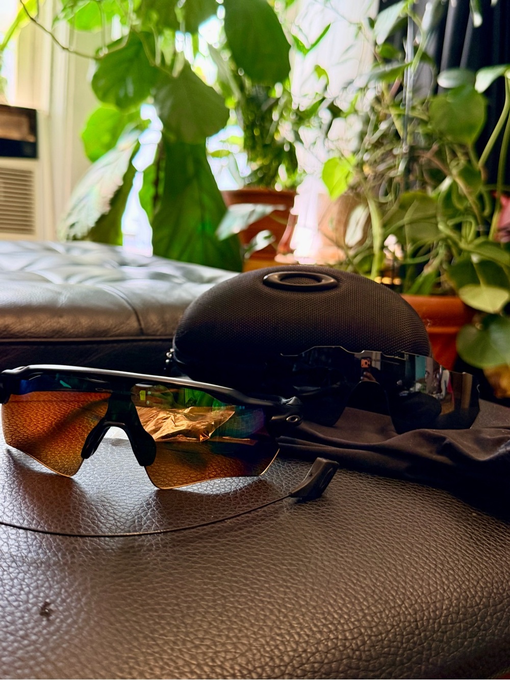 Oakley Radar EV Path Sunglasses With Polished Black Frame And Prizm Black Lenses